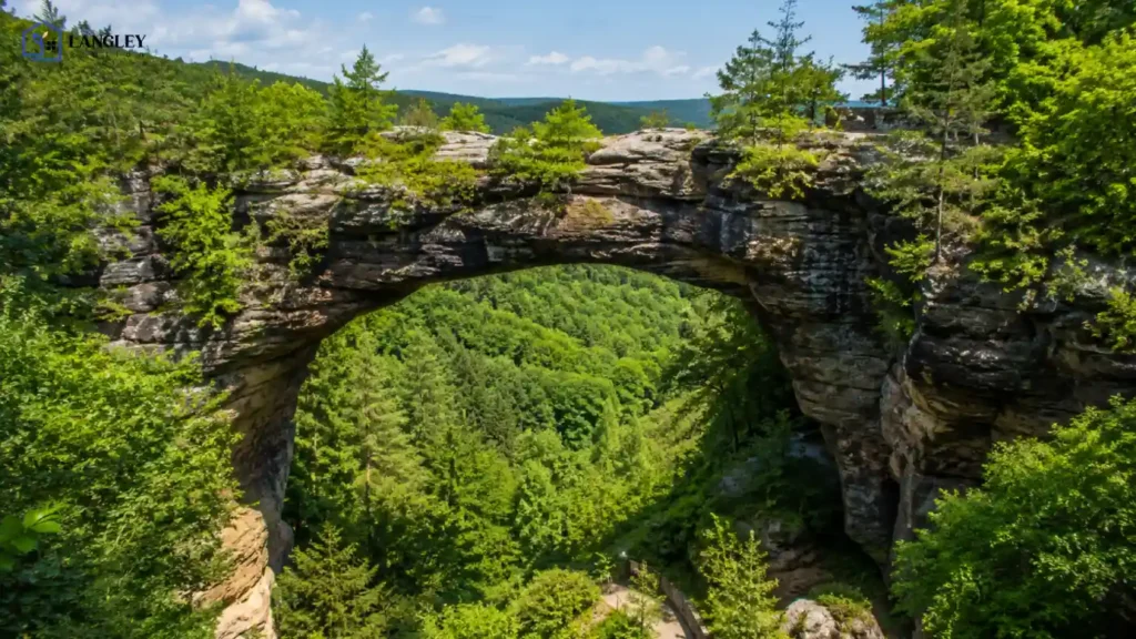 Natural Bridge State Resort Park 