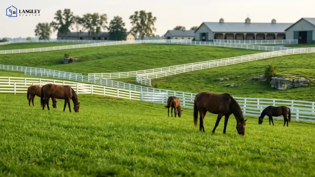 Why Does Kentucky Have So Many Horse Farms?